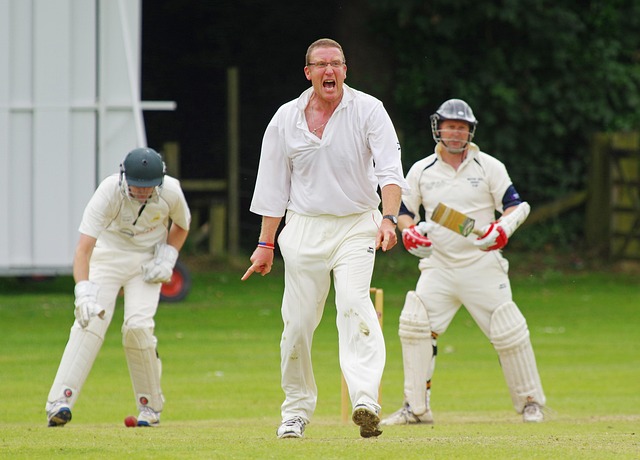 Pitch Perfect | Expert Cricket Performance Solutions player celebrating a successful shot during a match, showing peak performance